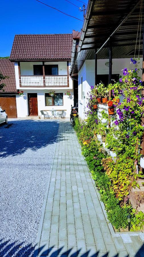 Casa Sallai Apartment Sovata Exterior photo
